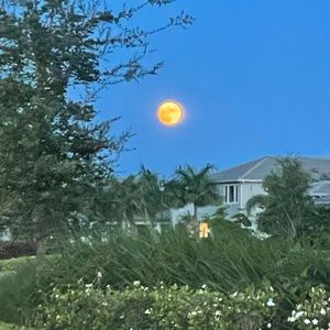 Meet your Posher, Skylar